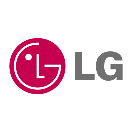 V30 repair